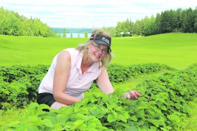 Heloposki Hennaksi nimetty Minna Sarvijärvi viljelee kesäaikaan mansikkaa miehensä kotitilalla Parkkuussa.