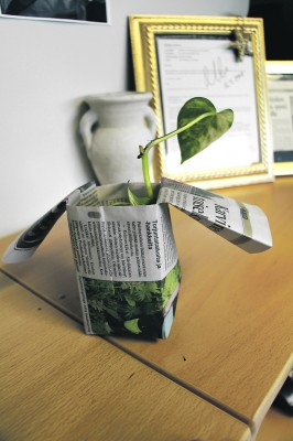 Paperinen taimiruukku on sanomalehden uusiokäytön perussovelluksia.