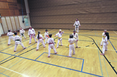 Joka viikko Soppeenharjun koulun liikuntasali täyttyy innokkaista karatekoista.