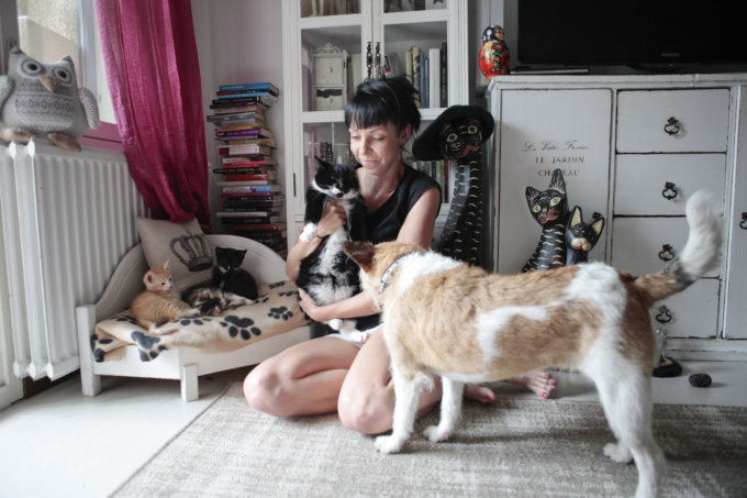 Neljä kissaa on saanut pysyvän kodin Hakalan luota. Kuvassa Pekka (kuvassa), joka oli pentueensa ainoa hännättömänä syntynyt. Hakalalla on myös Kyprokselta löytynyt Mia-koira. Kun kissat ovat tottuneet koiran läsnäoloon, se helpottaa myös uusien kotien etsimistä.