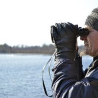 Viikonloppuna on suuri lintuharrastuspäivä – Hirvijärven lintutornilla saa opastusta lintuharrastukseen