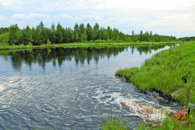 aurejärvi, talasneva