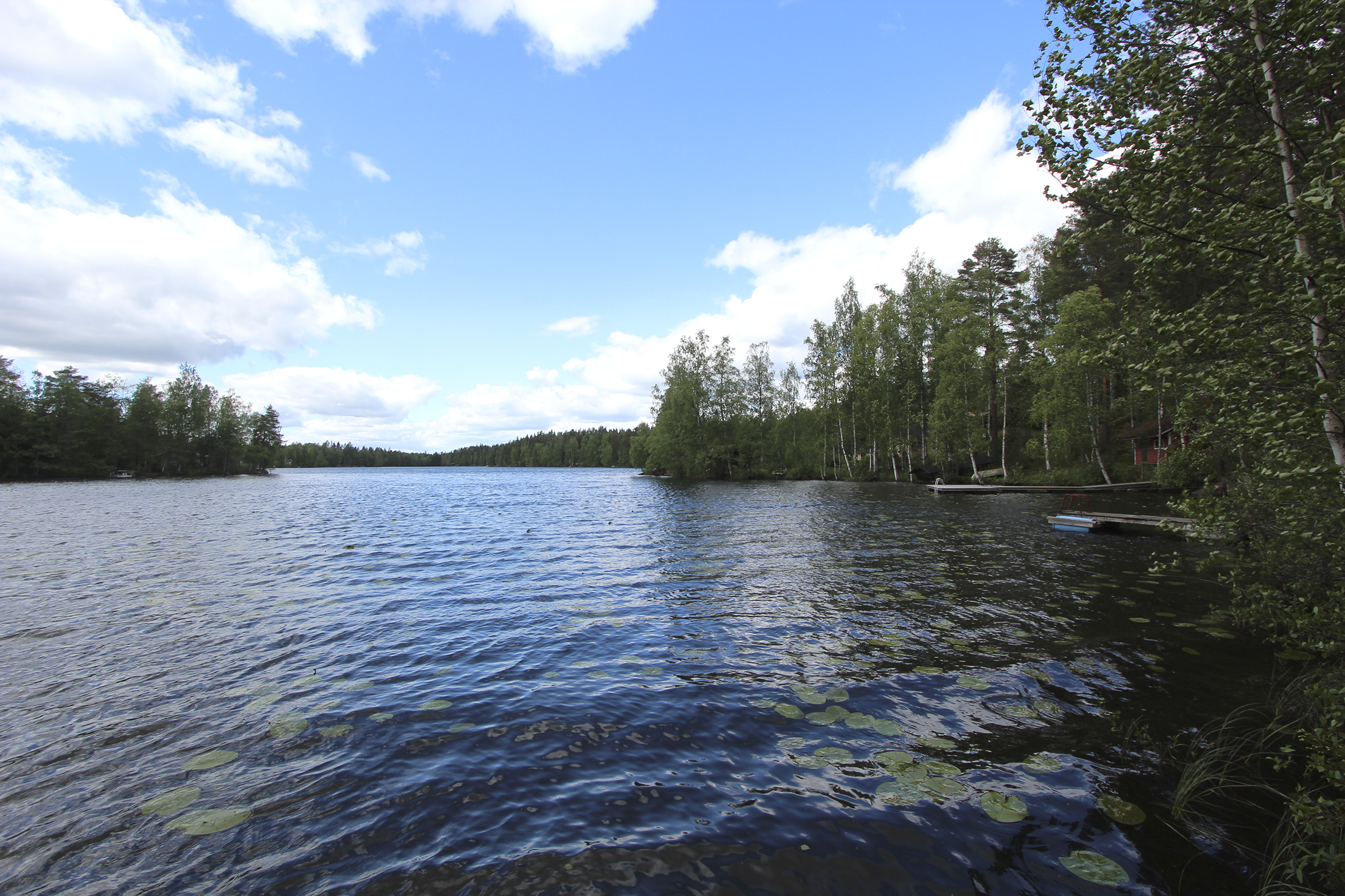 ranta, mökki