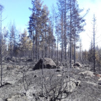 Kurun Itä-Aureessa paloi aamulla maastoa