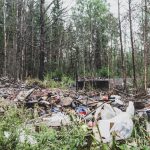 Kaupunki maksaa metsäkyläläistontin siivoamisen ja perii kulut omistajalta, mikäli hän ei ryhdy toimiin itse – Ympäristötarkastajan mukaan siiovus maksaa useita tuhansia euroja
