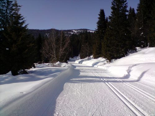 ski-trails-599641