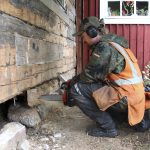 Perinnerakentaja kannattaa puuta – Mikko Timosella on pyyntö vanhojen metsien omistajille: ”Myykää puut puutavaraksi, ei sellukattilaan”