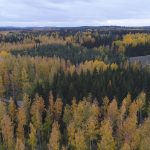 Uusi luonnonsuojelualue Ylöjärvelle – katso sijainti