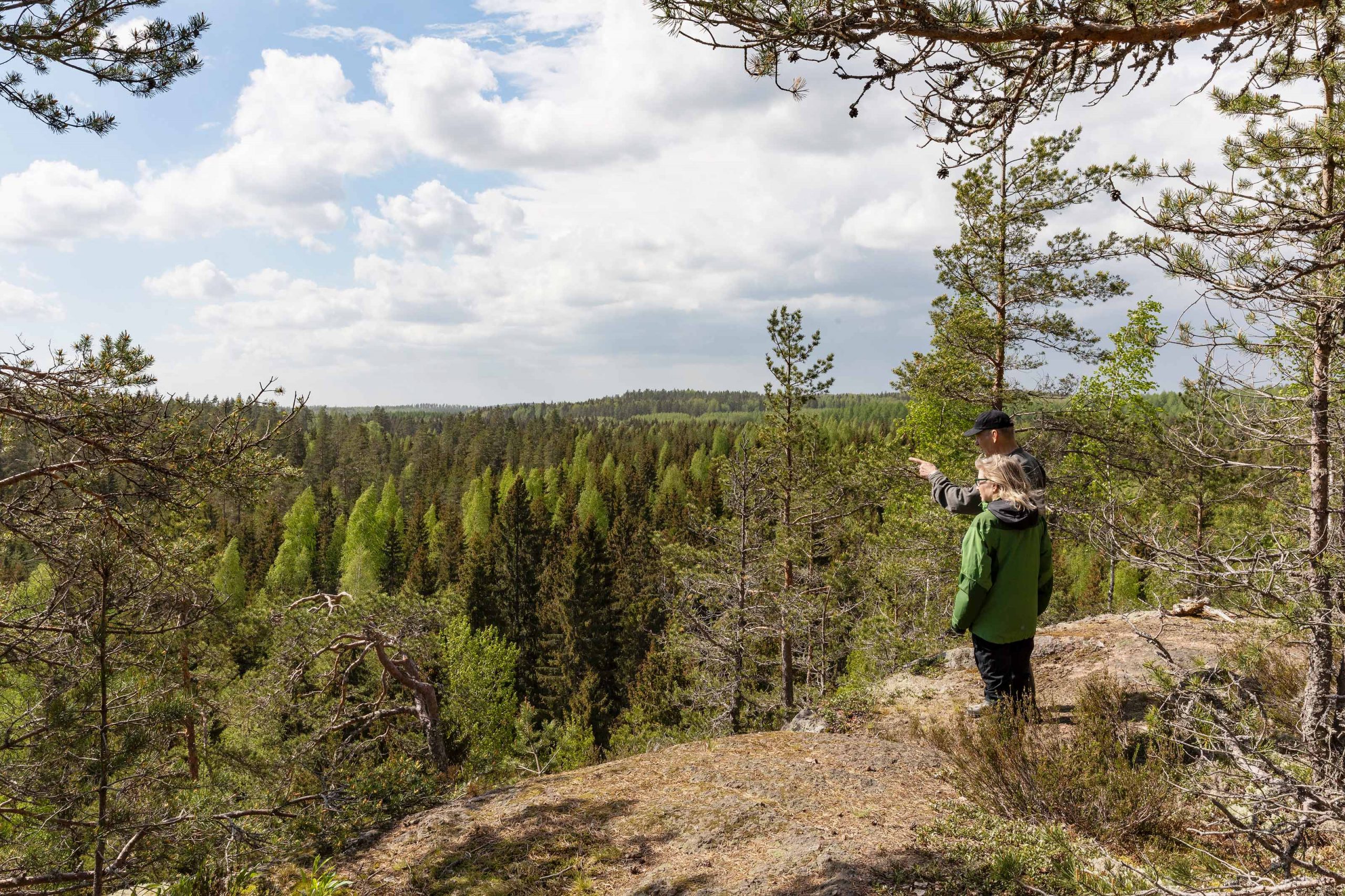 Yksityiset omistavat kolme neljäsosaa Suomen metsistä, mutta metsän omistaa  ei tunnista mistään - Ylöjärven Uutiset