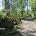Raju syöksyvirtaus kaatoi ja katkoi puita Viljakkalassa – henkilövahingoilta vältyttiin