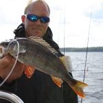 Ahven ja kuha ovat kesälomakalastajan ykköskohteita – Ylöjärven vesistöistä nousee monen kokoista kalaa