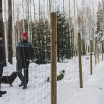 Odotettu koirametsä aukesi lähelle Ylöjärven ja Tampereen rajaa – Rescuekoirat Heikki ja Papu esittelevät aidatun metsän, jossa pääsee kirmaamaan vapaana
