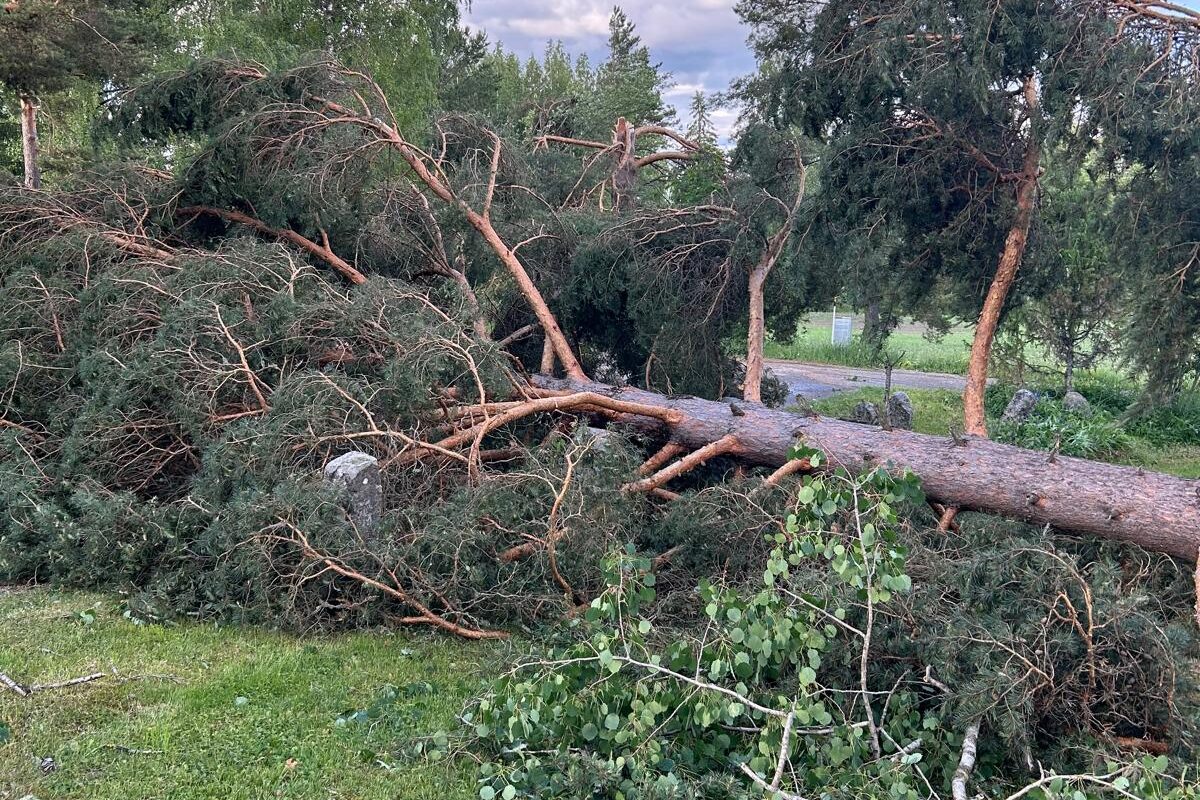 Myrsky riepotteli Viljakkalaa sunnuntaina: kirkon pihassa puita poikki, leikkimökki kumoon, trampoliini lensi naapurin pihaan