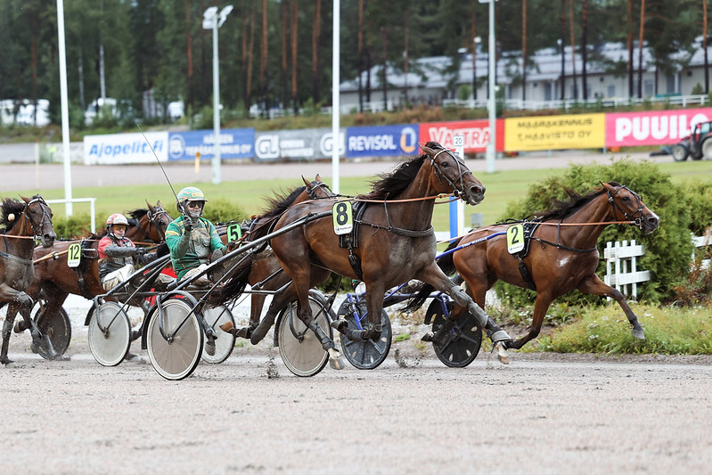 Teivossa jaettiin isot palkintorahat – Tammakriteriumissa nähtiin yllätys