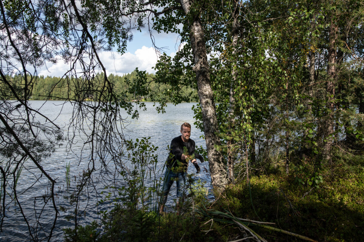 Mökkiläiset käärivät hihansa, jotta sinilevän riivaama Oksijärvi saataisiin pelastettua: ”Syyt olisi tärkeää löytää, että miksi järvi on rehevöitynyt näin nopeasti”