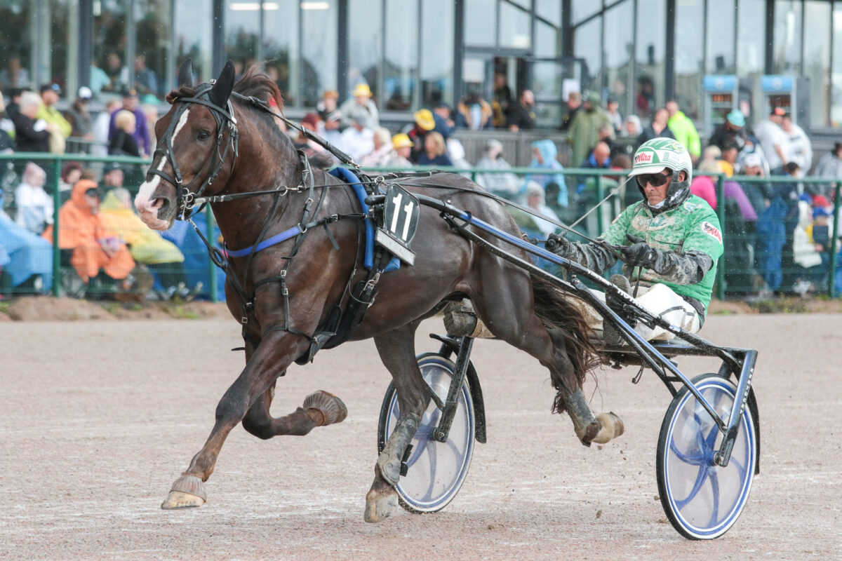 Haista Hevonen Cupin finaalien voitot Cristoxille ja Incredible Cometille